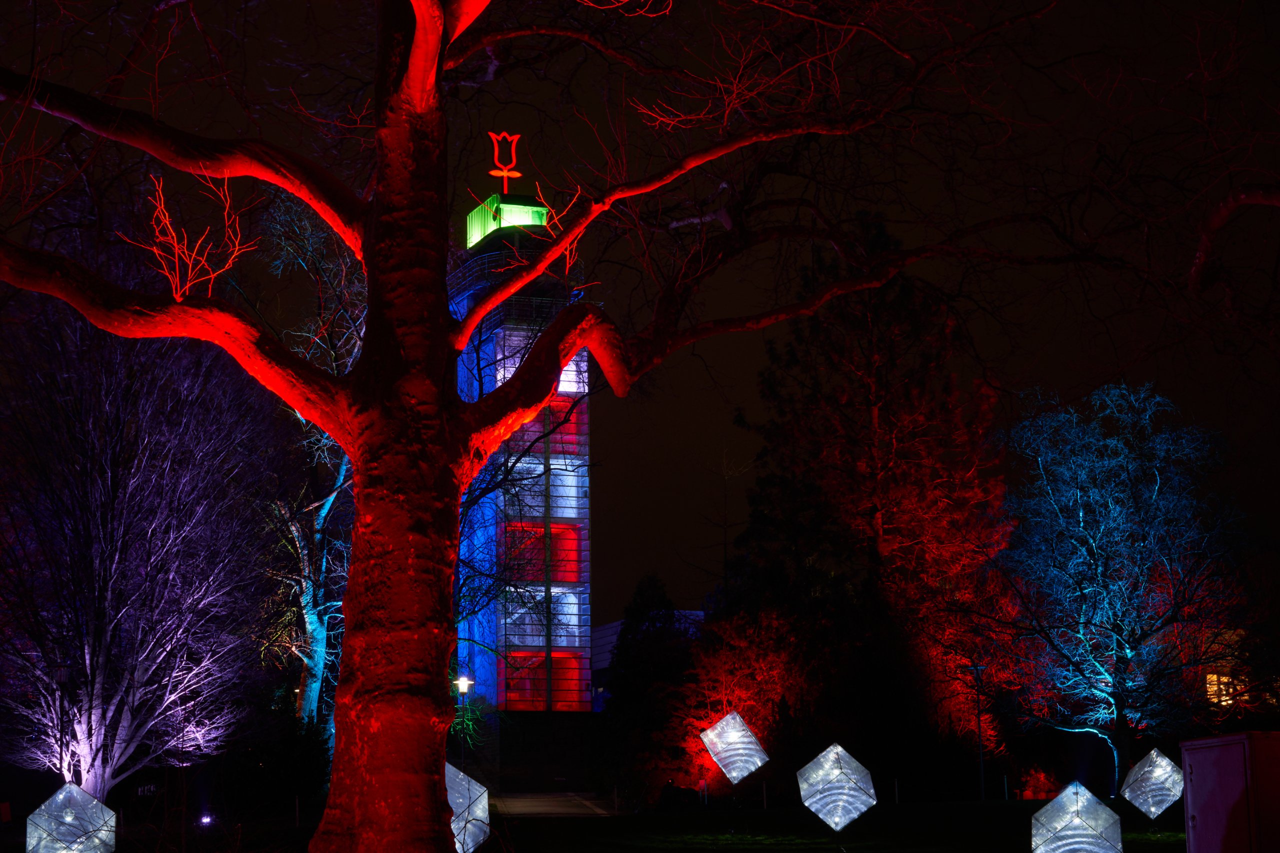 2023 01 23 Parkleuchten 0182